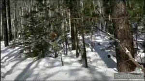 Полет души. (Группа Республика).