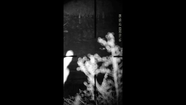 охота на бобра. подранок. henbaker cy789. ночной прицел. смотреть онлайн