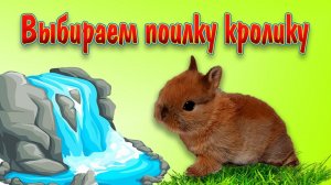 Поилка для кролика, выбираем