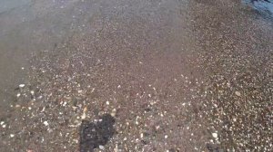 Seven Seas Gravel Select 5* - одним дублем весь отель