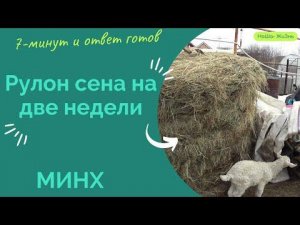 Рулон сена на две недели