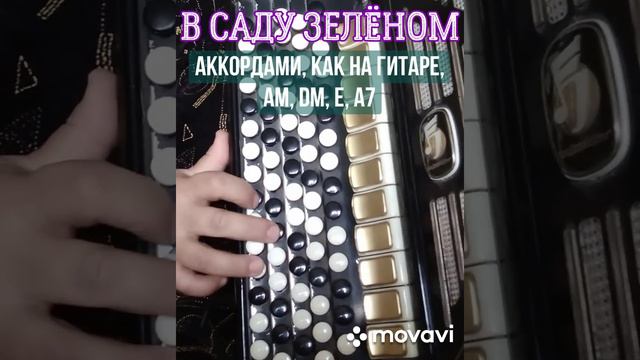 БАЯН"В САДУ ЗЕЛЁНОМ РОЗА ЦВЕЛА"БЕЗ НОТ АККОРДАМИ Am, Dm, E, A7,КАК НА ГИТАРЕ.RUSSIAN SONG.