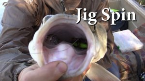 Jig Spin Жерех