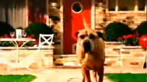 Kitekat Часть 6