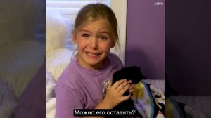 Девочка потеряла лучшего друга. Через месяц она нашла это в своей комнате.