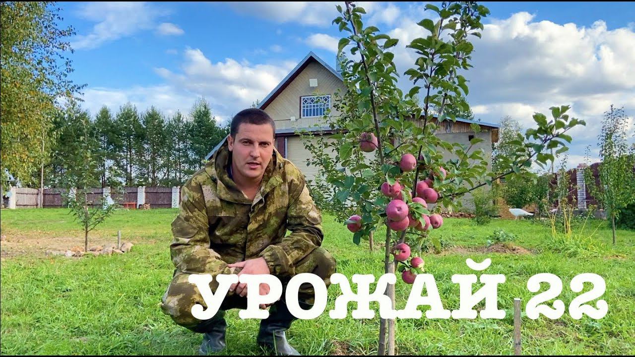 #107. Итоги урожайного сезона 2022г. [Жизнь на своей земле] смотреть онлайн