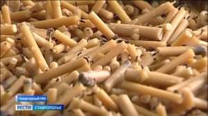 Школьники из Предгорного округа Ставрополья изготавливают для бойцов СВО окопные свечи