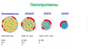 Транспорт липидов