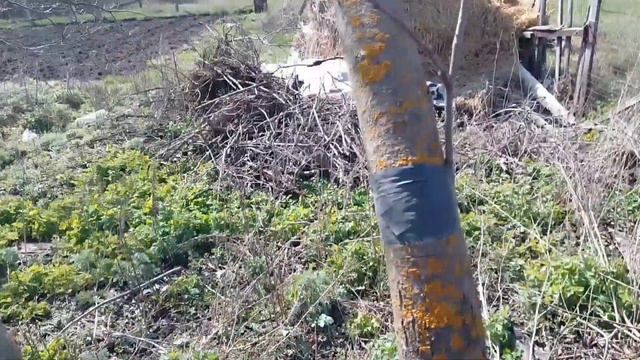 огород,погода,ответ на коментарий. смотреть онлайн