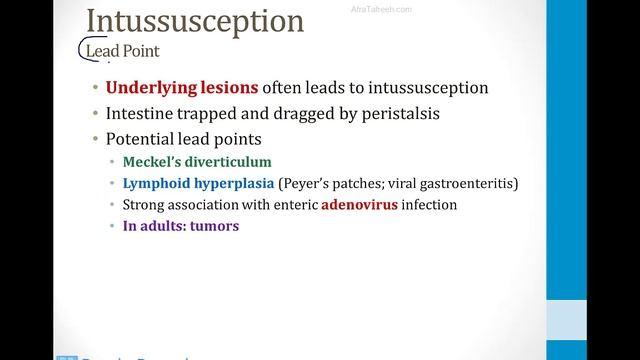 Гастроэнтерология USMLE - 3. Клиническая гастроэнтерология - 12.Кишечные расстройства