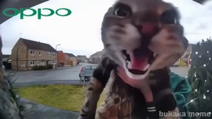 Cat Meows into door camera meme but famous phone ringtones (2)