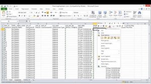 Import Cost from excel to primavera 6