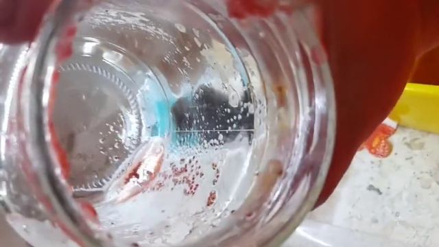 Переезд на юг из Сибири. #Клубника#Семена#Лилии# смотреть онлайн