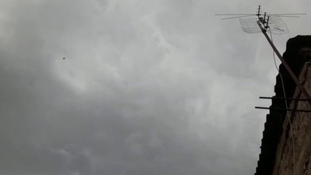 Ленинаканские голуби Вартана в Армении! 5.07.20г смотреть онлайн