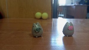 Приключение 2 Pusheen