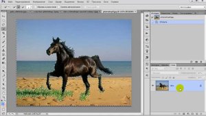 Урок Как научиться выделять в Фотошоп Уроки Фотошопа