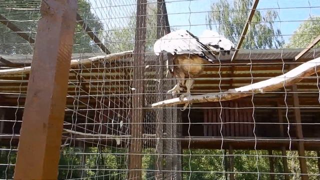 Парк птиц Воробьи – первая территория