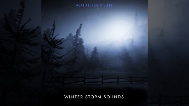 Winter Storm Sounds смотреть онлайн