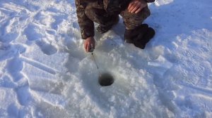 Малые реки Сибири. р.Мундрова  Зимний лов ельца.