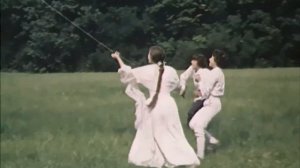 Владимир Дубровский: анализ героя