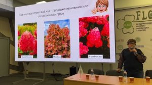 ВСЯ ПРАВДА О ГОРТЕНЗИИ НА ЗЕЛЁНОМ РЫНКЕ