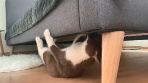 Вызывайте экзорциста