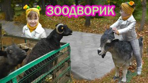 Зоопарк маленький зоодворик в парке, где можно кормить животных