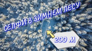 СЕЛФИ В ЗИМНЕМ ЛЕСУ