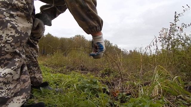 ПРОВЕРКА РАБОТОСПОСОБНОСТИ ЭЛЕКТРОПАСТУХА. БИО-ФЕРМА МАНГАЛИЦА