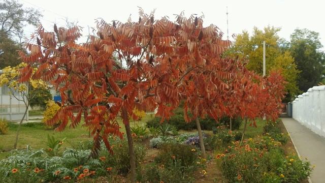 Стадион 50-летия Октября. Новая площадь. смотреть онлайн