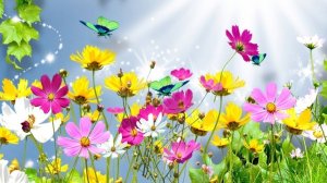 Пусть Утро будет добрым! В это трудное для нас время желаю вам здоровья, терпения  надежды....