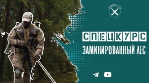 Спецкурс: как пройти заминированный лес и остаться живым.