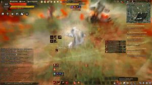 BDO Striker PvP