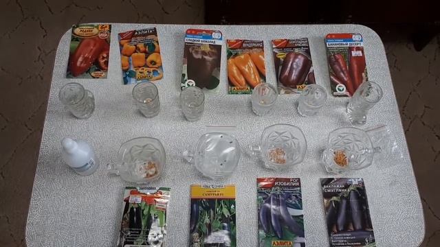 Предпосевная обработка семян томатов, перцев, баклажан. Обеззараживание почвы для рассады. смотреть онлайн