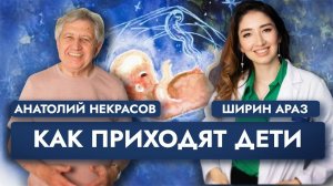 Дети, деньги и беременность! Анатолий Некрасов и Ширин Араз.