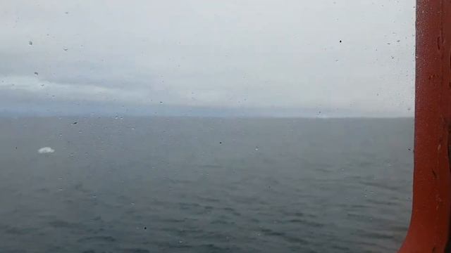 Полярный день весь рейс | Сочинец на Северном полюсе