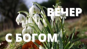 БЛАГОДАРНОСТЬ // Вечер с Богом 15.03.22 // вечерняя молитва перед сном