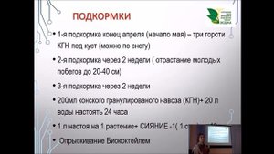 Выращивание малины