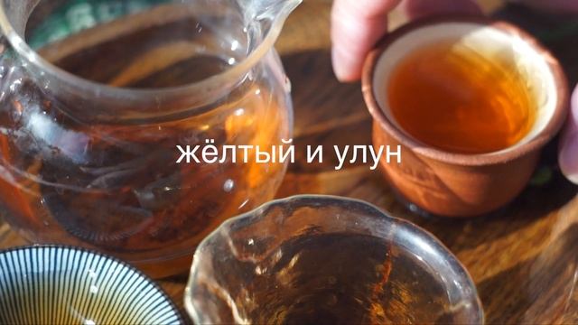 ?CHISTO.CHAY.TV? ЧАЙНАЯ КАМЕЛИЯ. смотреть онлайн