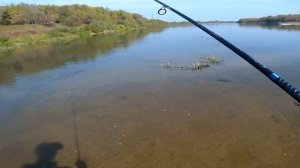 Щука на Оке под Серпуховым...