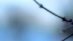 My Second Nikon D7100 + Zenit Zenitar f/1.2 50 mm video