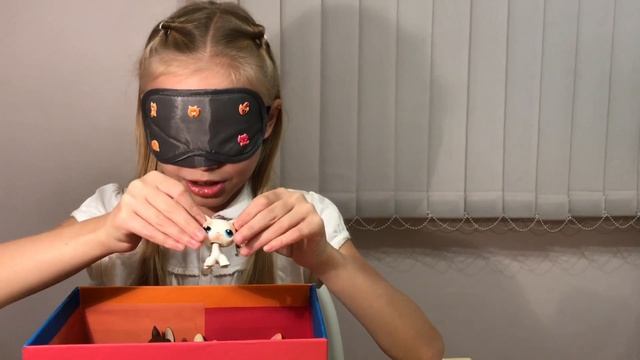 LPS CHALLENGE - насколько знаю я своих петов! ( Littlest pet shop)