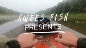 Спиннинг AWEES Maestro