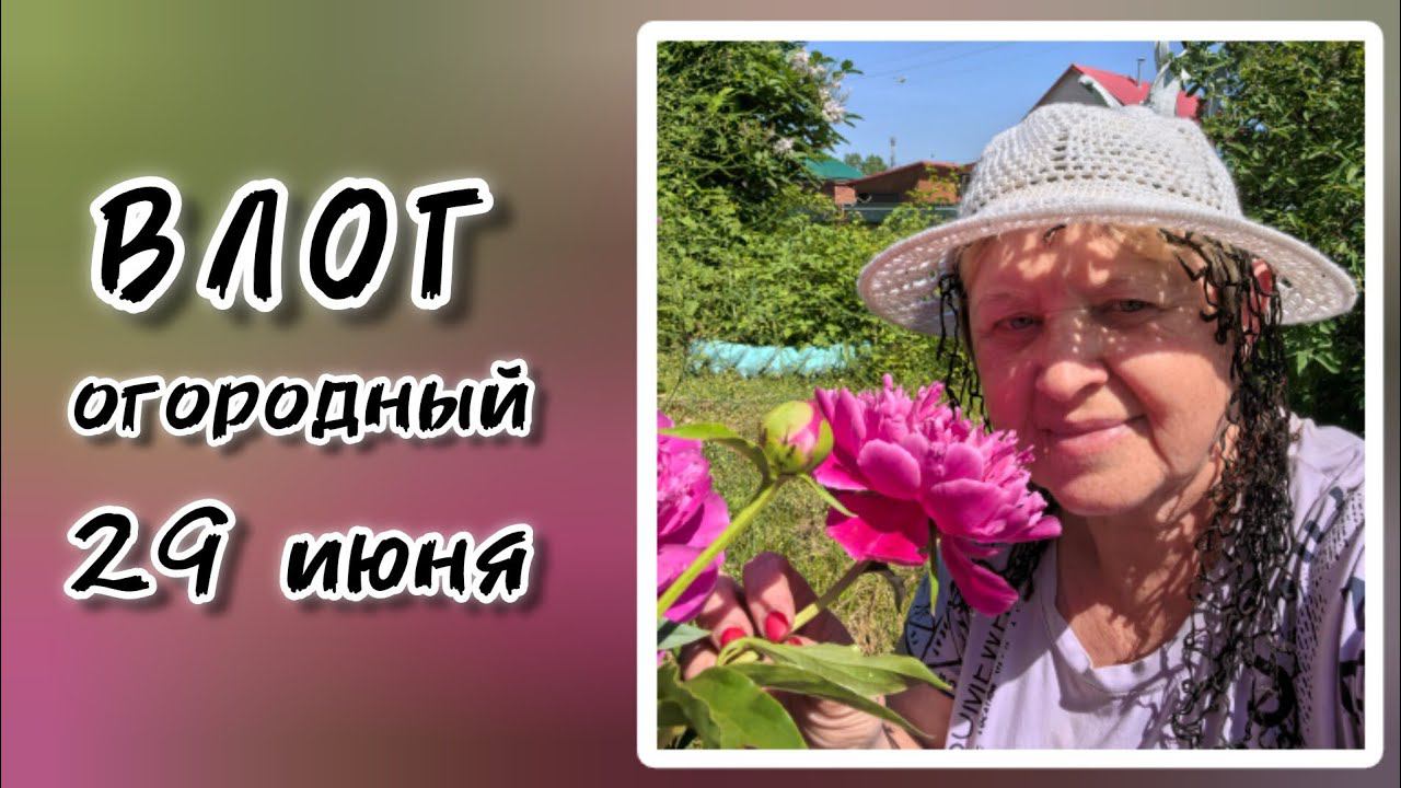ВЛОГ. Огород 29 июня 2024 г. смотреть онлайн