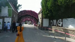 Дубай 2021!!!Как добраться в парк цветов самостоятельно!!! Экскурсии которые не нужно покупать!!!