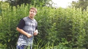 Парень лезет в крапиву