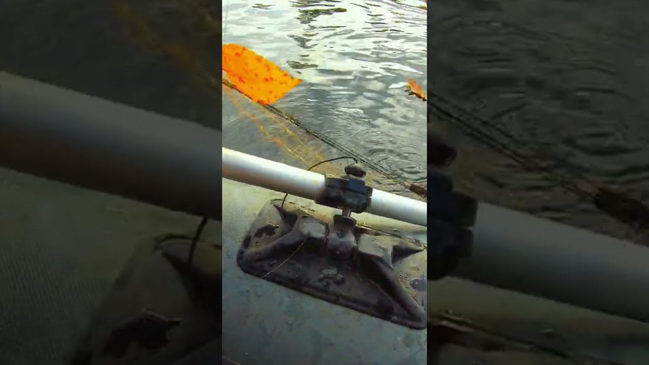 ДОСТАЛ ХИЩНИКА ИЗ БРАКОНЬЕРСКОЙ СЕТИ #shorts смотреть онлайн