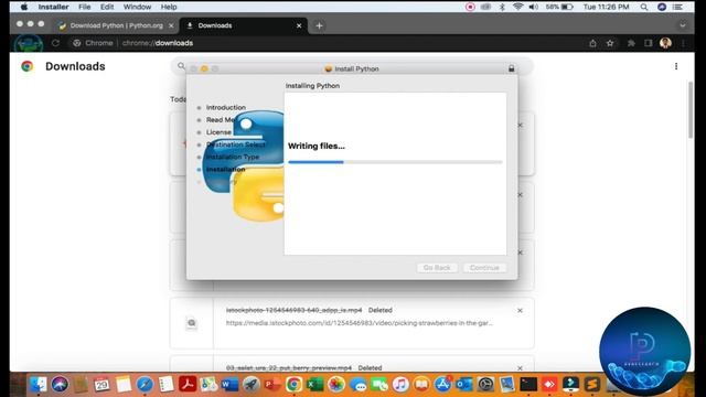 Python 3.11 Installation Guide: Step-by-Step Tutorial for Beginners