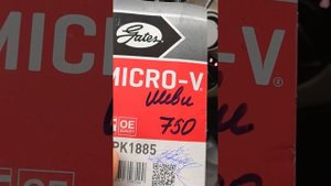 Ремень генератора Шевроле Нива.