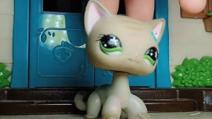 LPS/ТОП МОИХ ЛЮБИМЫХ ЛПС/ЛПС💟💟💟